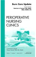 Burn Care Update, an Issue of Perioperative Nursing Clinics: Volume 7-1