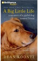 Big Little Life: A Memoir of a Joyful Dog Named Trixie
