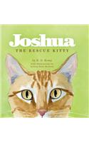 Joshua the Rescue Kitty