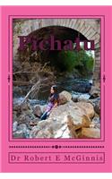 Pichatu