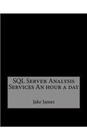 SQL Server Analysis Services an Hour a Day