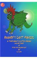 Roary's Lost Magic: The continuing tales of Peta the Golden Cat