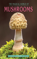 The Magical World of Mushrooms Wall Calendar 2026