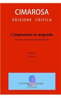 L'Impresario in Angustie