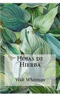Hojas de Hierba