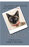 Adventures Of Hershy