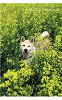 Akita Inu 9th Notebook Record Journal, Diary, Special Memories, To Do List, Academic Notepad, and Much More