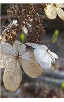 Hydrangea Flowers Journal: (Notebook, Diary, Blank Book)