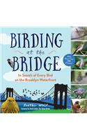 Birding at the Bridge