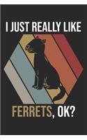 I Just Really Like Ferrets, OK?: DIN A5 Frettchen Notizheft kariert - 120 Seiten kariertes Frettchen Notizbuch für Notizen in Schule, Universität, Arbeit oder zuhause. - Eine tolles