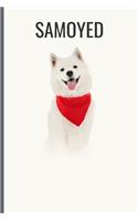 Samoyed
