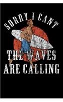 Sorry I Cant - The Waves Are Calling