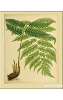 Vintage Nature Sketch Book