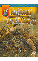 Animal Architects