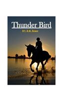 Thunder Bird: ( Annotated )