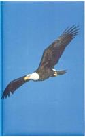 Eagle Blank Journal