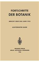 Bericht uber das Jahr 1955