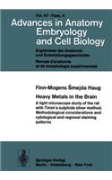 Heavy Metals in the Brain: A Light Microscope Study of the Rat with Timm's Sulphide Silver Method. Methodological Considerations and Cytological and Regional Staining Patterns