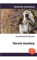 Vervet Monkey