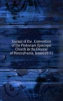 Journal of the . Convention of the Protestant Episcopal Church in the Diocese of Pennsylvania, Issues 69-71
