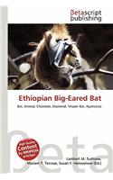 Ethiopian Big-Eared Bat