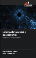 Labiopalatoschisi e palatoschisi