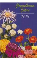 Chrysanthemum Culture