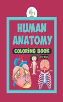 Human Anatomy Coloring Book For Kids