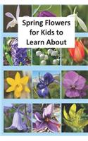 Spring Flowers for Kids to Learn About