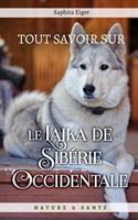 Tout Savoir sur le Laïka de Sibérie Occidentale