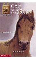 Animal Ark Hauntings #4