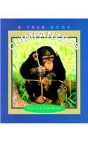 Chimpanzees
