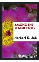 Among the Water-Fowl