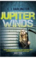 Jupiter Winds