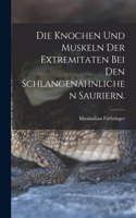 Knochen und Muskeln der Extremitaten bei den Schlangenähnlichen Sauriern.
