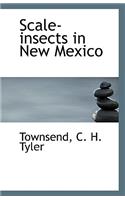 Scale-Insects in New Mexico