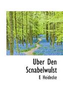 Uber Den Scnabelwulst