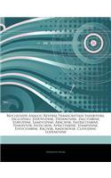Articles on Nucleoside Analog Reverse Transcriptase Inhibitors, Including: Zidovudine, Didanosine, Zalcitabine, Stavudine, Lamivudine, Abacavir, Emtricitabine, Tenofovir, Entecavir, Apricitabine, Stampidine, Elvucitabine, R(English)