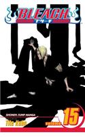 Bleach, Vol. 15