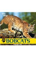 Bobcats