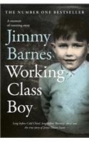Working Class Boy
