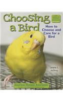 Choosing a Bird