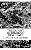 The journey to the heart of a heart