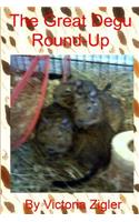 Great Degu Round-Up