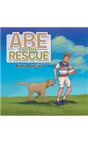 Abe to the Rescue
