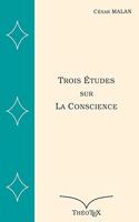 Trois Études sur la Conscience
