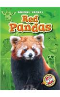 Red Pandas