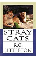 Stray Cats