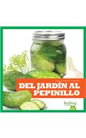 del Jardín Al Pepinillo (from Garden to Pickle)