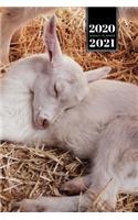 Goat Farmer Farming Herder Goatherd Week Planner Weekly Organizer Calendar 2020 / 2021 - Sleep in Hay